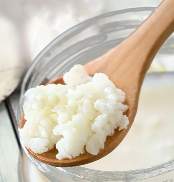 WhatsApp Image 2025 01 10 at 12.04.10